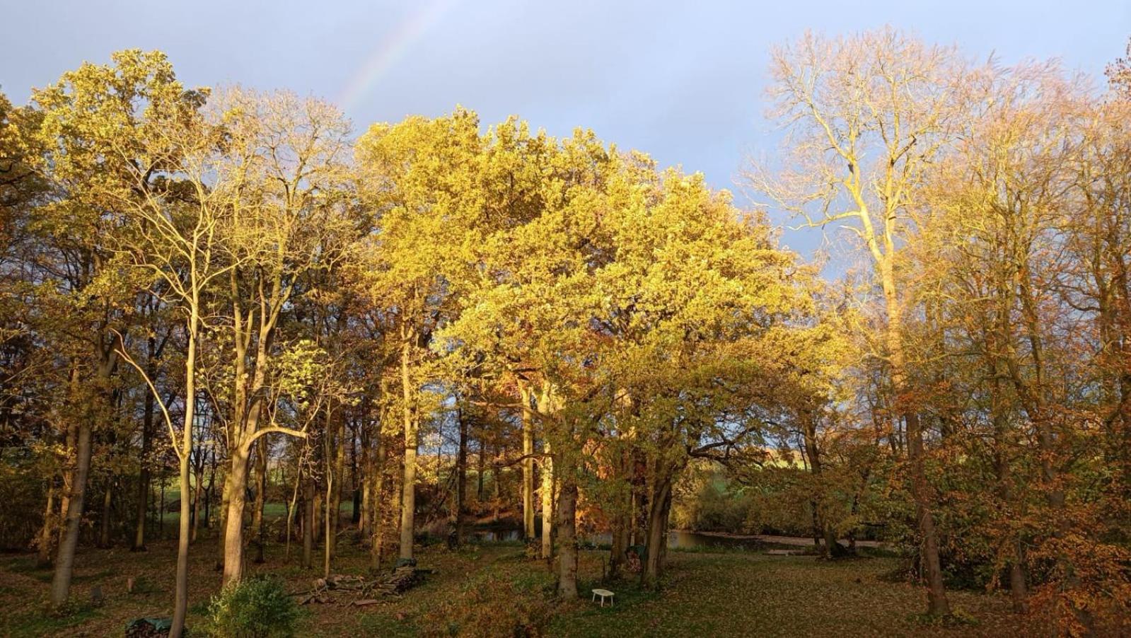 Herrenhaus Harmshagen Testorf-Steinfort Exteriér fotografie